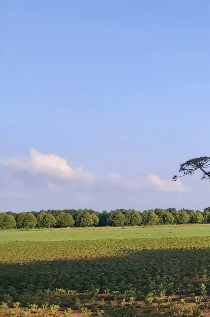 UItzicht op Dwingeloo